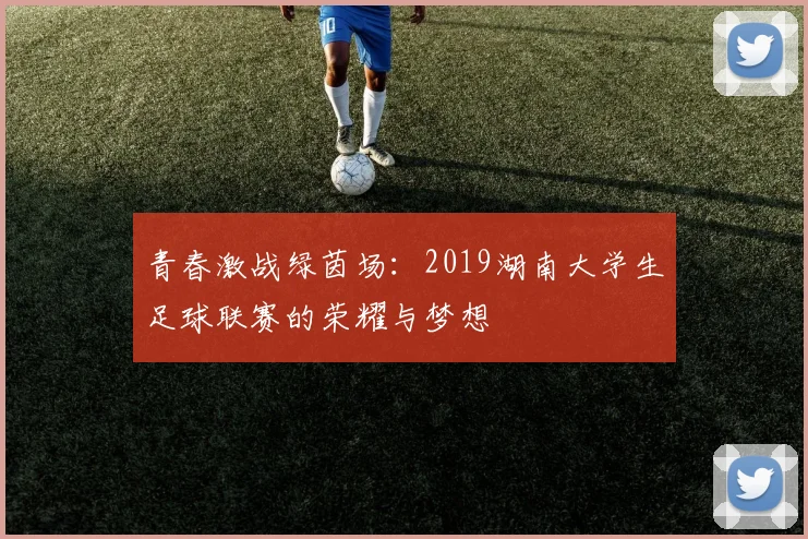 青春激战绿茵场：2019湖南大学生足球联赛的荣耀与梦想