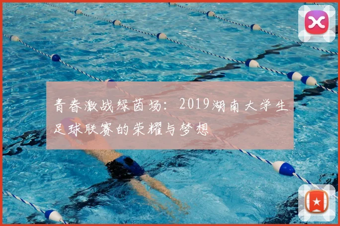 青春激战绿茵场:2019湖南大学生足球联赛的荣耀与梦想